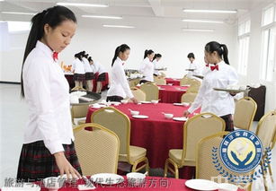 榆林旅游、酒店與職業教育深度解析 從能源化工到旅游管理，再到電商咨詢