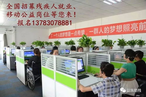 數(shù)字賦能，共創(chuàng)未來(lái) 電子商務(wù)為殘疾人群體帶來(lái)的新機(jī)遇與信息咨詢服務(wù)支持